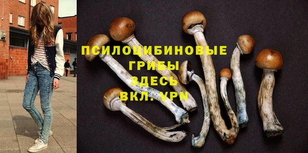 амф Володарск