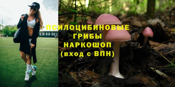 спиды Киреевск