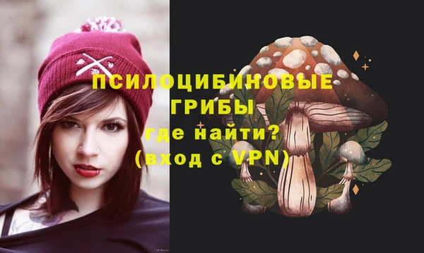 амф Володарск